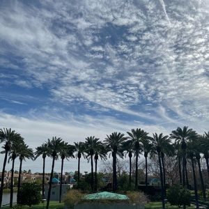 Meet your Posher, Sierra